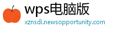 wps电脑版